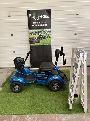 Used golf buggy lithium - golf,