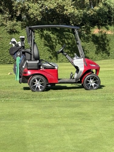 Single seater electric golf - single,