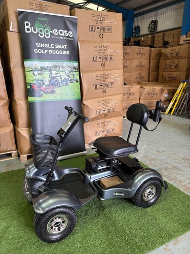 Used golf buggy - used, buggy,