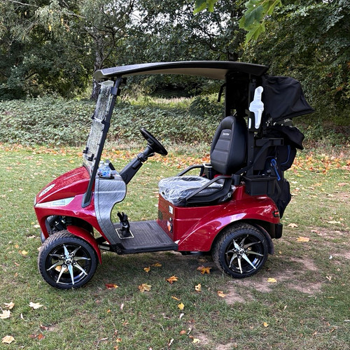 Single seater electric - single, golf