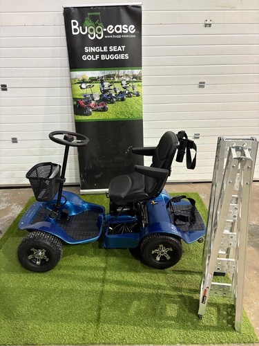 Used golf buggy lithium - used,